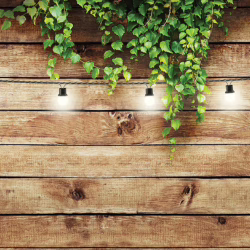 Rustic Wood with Ivy